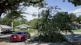 Dallas storm clean up could take at least a month as power outages continue, city says