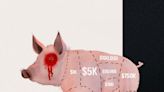 Matanza de cerdos: Así es la desgarradora historia de la súper estafa crypto por la que un hombre perdió un millón de dólares