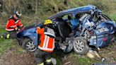 Cuatro argentinos resultaron heridos al despistar y chocar su auto contra un árbol en Chile | Policiales