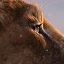 Mufasa's Lion King Prequel Story Will Make You Root For The Wrong Character