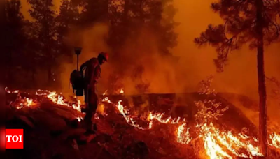 Firefighters struggle as they battle to contain wildfires across US West - Times of India