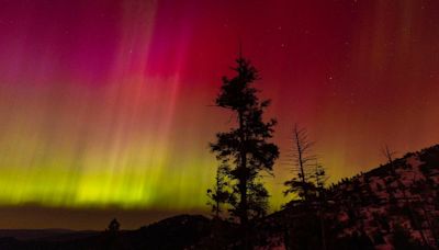 The northern lights dazzled Idaho skygazers. See photos from Boise and beyond