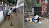 Why animal welfare volunteers in Singapore find their 'thankless' job tiring and drop out