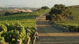 JONATA Celebrates 20 Years of Santa Barbara Wine Brilliance