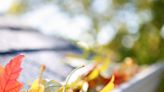 How to clean gutters - easy ways to keep your gutters free from leaves and debris all winter long