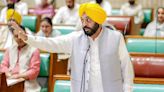 Should I Send Protesting Farmers To Lahore If Delhi Entry Is Denied, Asks Punjab CM Bhagwant Mann