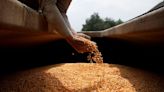 Protestos de agricultores mexicanos contra preços de grãos fecham aeroporto de Sinaloa