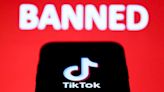 TikTok Ban Lands A Blow To Intellectual Discourse Online