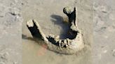 Prehistoric human jawbone found in Iowa River