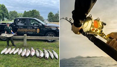 Angler arrested after catching 14 oversized fish: 'Caught red-handed'