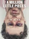 A Million Little Pieces (film)