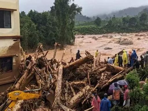 Kerala Landslides: Rahul Gandhi, Priyanka Gandhi to visit landslide-hit Wayanad - The Economic Times