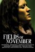 Fields of November