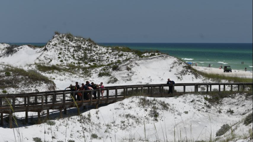 Popular vacation spot for Louisianans shuts down beach after two shark attacks injure woman, teen