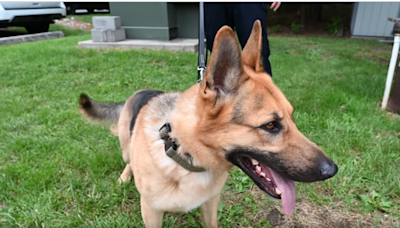 Shelter pup hours away from being euthanized gets a new life — with the bomb squad