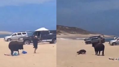El impactante momento en que un toro embistió a una mujer en una playa de Baja California
