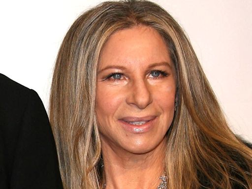 Barbra Streisand's Iconic Ice Cream Makes Instant Coffee The Star