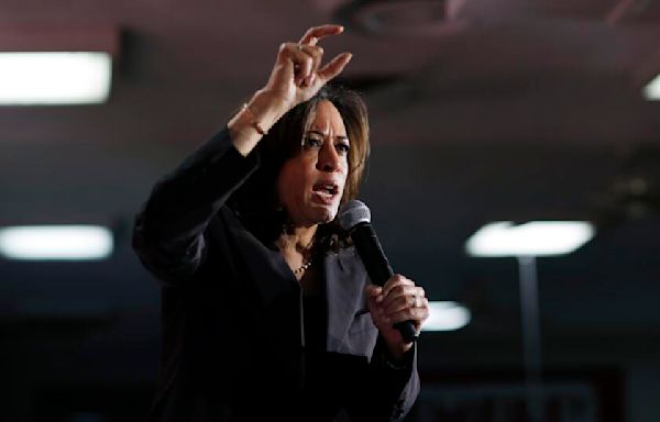 Vice President Kamala Harris met by protesters outside fundraiser in San Francisco