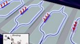 MIT Engineers Create Game-Changing Lead Detection Device