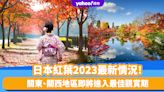 日本紅葉2023｜關東、關西地區即將進入最佳觀賞期！呢個地方紅葉可以睇到12月中？