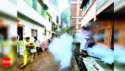 States asked to keep vigil after 8 Zika cases in Maharashtra | Delhi News - Times of India