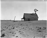 Dorothea Lange