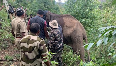 Forest department provides treatment to injured wild elephant in Marayur
