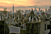 Calvary Cemetery (Queens)