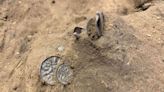 Girl Finds 1,000-Year-Old Viking Coins in Denmark with Metal Detector: 'This Is Very Rare'