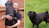 Moment dog jumps into mom's arms "Scooby Doo" style to escape bullying pug