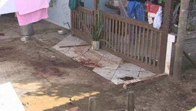 Homem morre ao ser atacado por quatro pitbulls em Florianópolis | Brasil | O Dia