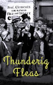 Thundering Fleas