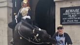 Video: Tourist Faints After King's Guard Horse In UK Bites Her While Posing For Pic