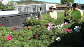 Rapid City parks in bloom