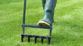 My grass maintenance tips will help you have a luscious lawn in every season