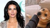 Angie Harmon Shares ‘Don’t Give Up’ Message After Her Dog Is Shot and Killed by Instacart Driver