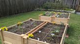 Gardeners, Step Up Your Game (And Save Your Knees) With These Raised Garden Beds