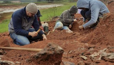 Increíble hallazgo paleontológico: los dinosaurios más pequeños del mundo