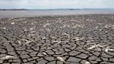 Temporada de calor no México afeta lagoas e fauna e deixa 155 pessoas mortas | GZH