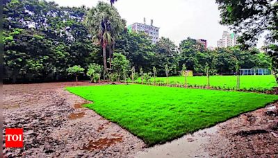 Calcutta High Court stays land allotment for actor's Lake cricket camp | Kolkata News - Times of India