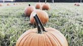 Alamance County's 2022 Halloween events