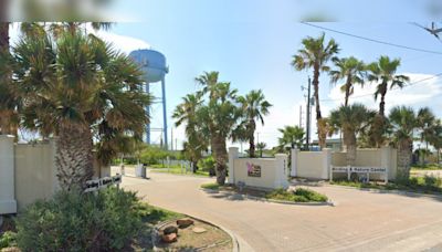 South Padre Island Sanctuary Relocates 40 Alligators to Beaumont Ahead of Hurricane Beryl's Approach