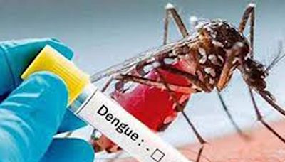 Aumentan hospitalizaciones por dengue en El Salvador - Noticias Prensa Latina