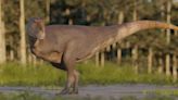 Meet the newly discovered dinosaur with even tinier arms than T. rex