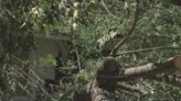 ‘I lost everything’: Fallen tree destroys Gastonia family’s home