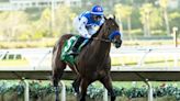 Four Kentucky Derby preps, "Big Cap" at Santa Anita top weekend horse racing