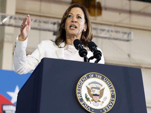 Kamala Harris approval rating surge leaves pollsters stunned: "Incredible"