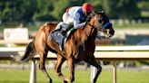 Preakness Stakes favorite Muth scratched due to fever