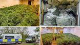 Large scale cannabis farm raided by specialist officers