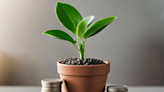 Growth Investing Versus Income Investing: Which Should You Pick?